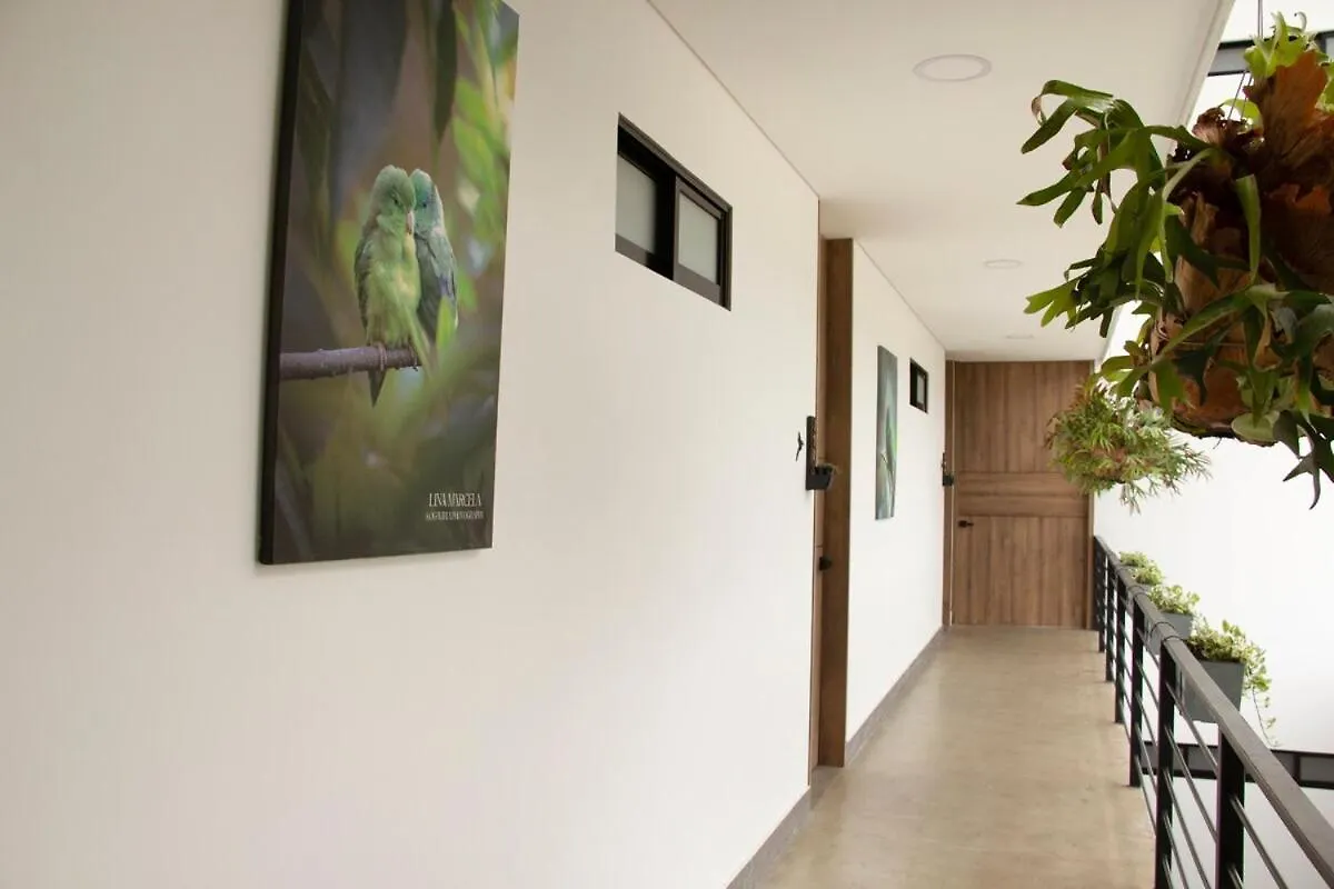 Norte Cali - Bosque Living- 301